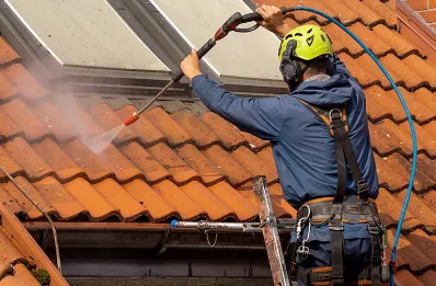 Démoussage et hydrofuge de toiture à Monay